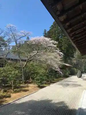 高野山金剛峯寺(和歌山県)