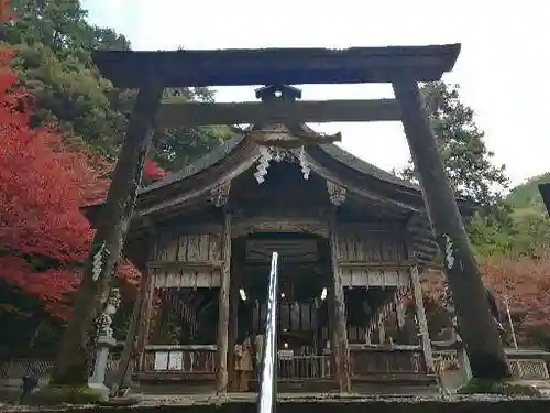 大矢田神社の本殿