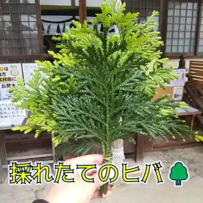 七重浜海津見神社(北海道)