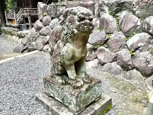 貝野神社(東貝野)の狛犬