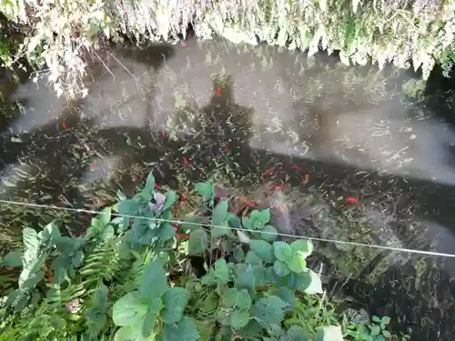 銭洗弁財天宇賀福神社(神奈川県)