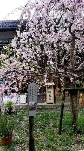 源九郎稲荷神社の自然