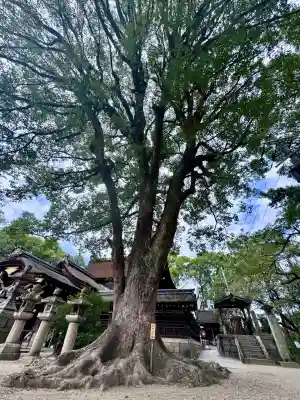 藤森神社(京都府)