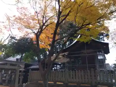 八幡神社(滋賀県)