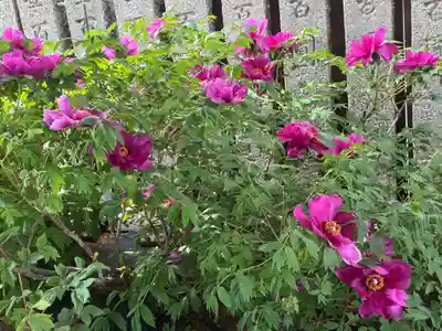 観音寺(徳島県)