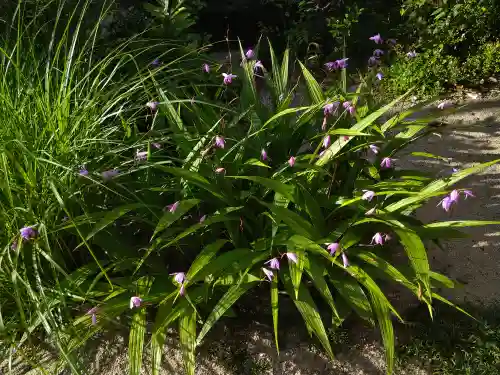 備中国總社(岡山県)