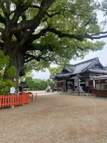 百舌鳥八幡宮(大阪府)