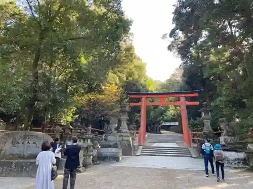 春日大社の鳥居