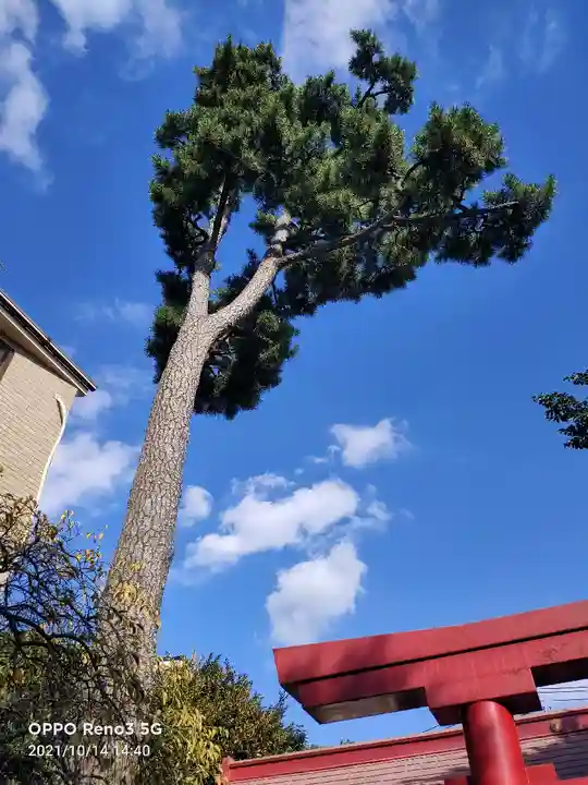 稲荷神社(東京都)