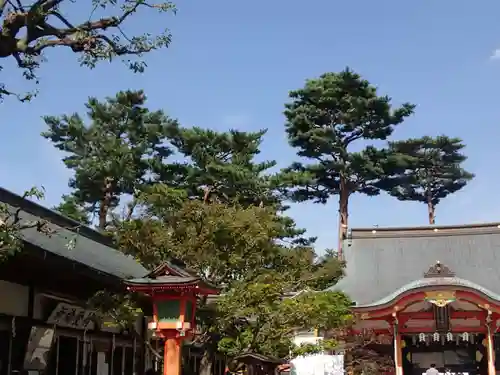 東伏見稲荷神社のその他建物