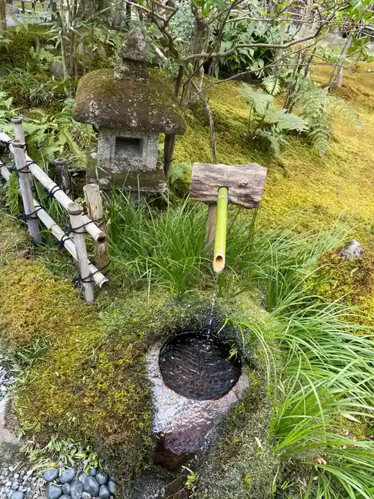 祇王寺(京都府)