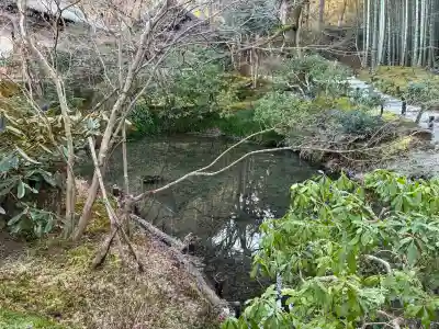 圓光寺(京都府)