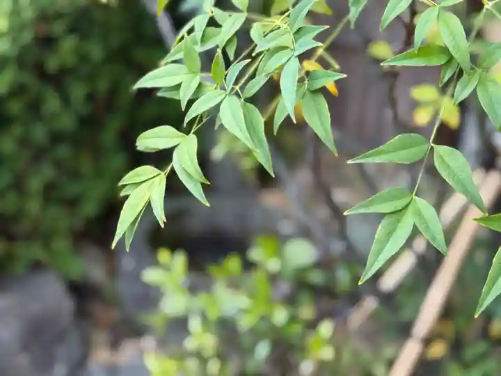 西方山極楽寺(岐阜県)