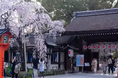 平野神社(京都府)
