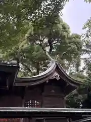 鳩ヶ谷氷川神社(埼玉県)