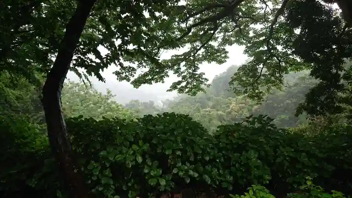 葛原岡神社の自然