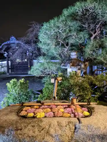 妙顯寺（妙顕寺）の手水舎