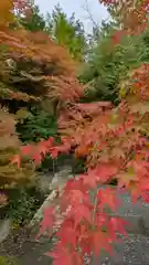 鍬山神社(京都府)