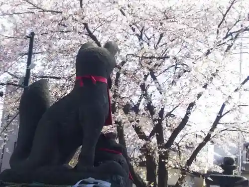 稲荷神社（弥十郎稲荷）の狛犬