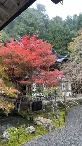 常照皇寺(京都府)