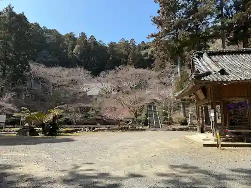 大洞院(静岡県)