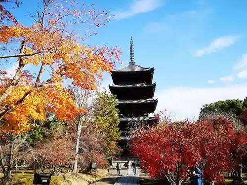 仁和寺の塔