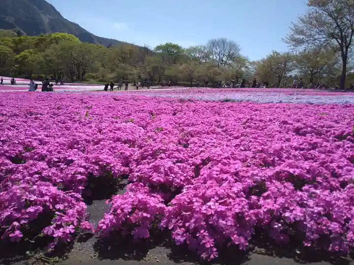 葛葉稲荷神社(埼玉県)