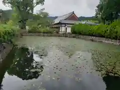 橘寺の庭園