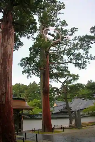 瑞巌寺の庭園