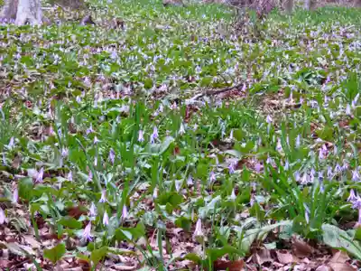 三毳不動尊(栃木県)