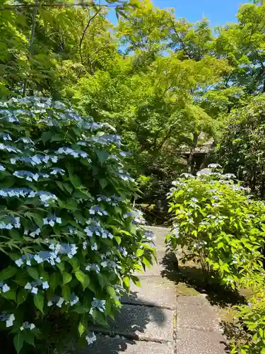 長壽寺（長寿寺）(神奈川県)