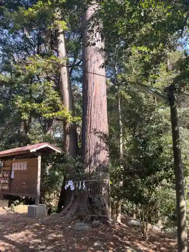 鎌形八幡神社の{uncategorized: "未分類", other: "その他", undefined: "問題あり", building: "その他建物", grave: "お墓", sacred_gate: "鳥居", guardian: "狛犬", statue: "像", buddha: "仏像", history: "歴史", nature: "自然", garden: "庭園", animal: "動物", pagoda: "塔", temizu: "手水舎", mountain_gate: "山門・神門", sanctuary: "本殿・本堂", subordinate: "末社・摂社", art: "芸術", scenery: "景色", jizo: "地蔵", ema: "絵馬", goshuin: "御朱印", omikuji: "おみくじ", items: "授与品その他", amulet: "お守り", goshuincho: "御朱印帳", eats: "食事", festival: "お祭り", votive_dance: "神楽", shichigosan: "七五三参", wedding: "結婚式", experience: "体験その他", initially: "初詣", around: "周辺", anti_infection: "感染症対策"}