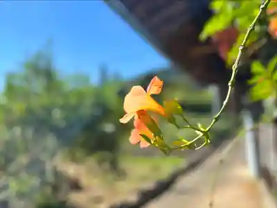 倶梨迦羅神社(長野県)
