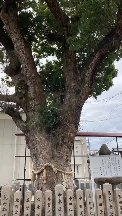 八幡神社(大阪府)
