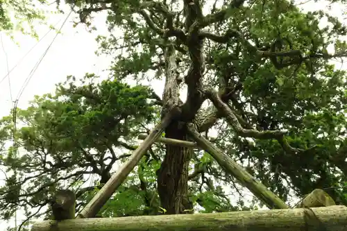 荏柄天神社の庭園