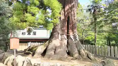 筑波山神社(茨城県)