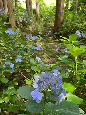 九品寺(奈良県)