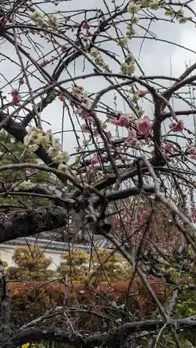 正法寺(京都府)