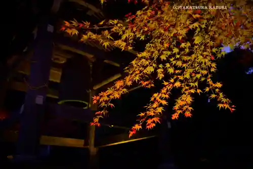 長谷寺(神奈川県)