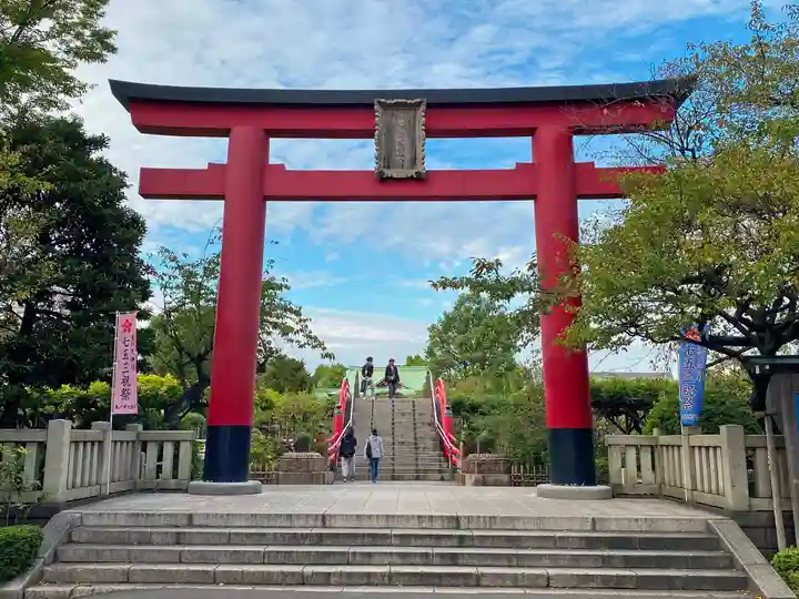 亀戸天神社の鳥居
