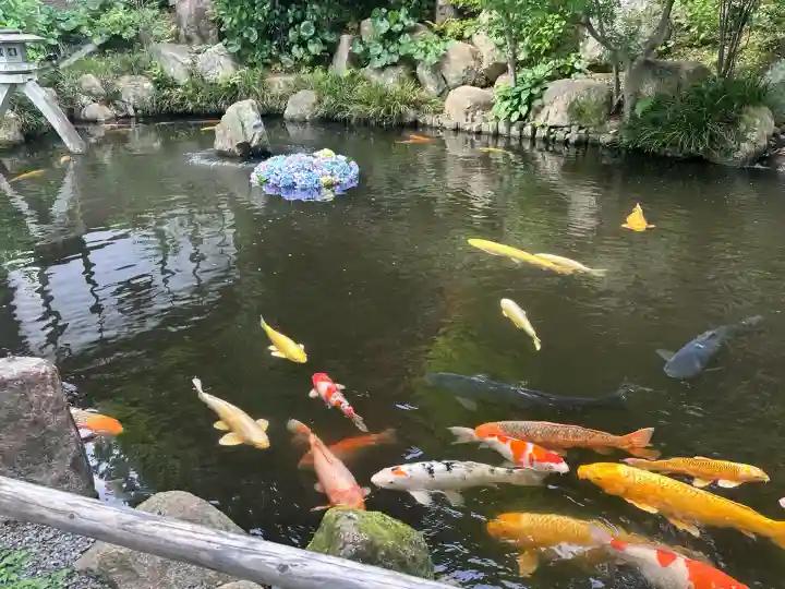 楽法寺(雨引観音)(茨城県)