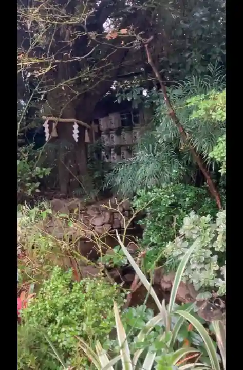 東京大神宮の{uncategorized: "未分類", other: "その他", undefined: "問題あり", building: "その他建物", grave: "お墓", sacred_gate: "鳥居", guardian: "狛犬", statue: "像", buddha: "仏像", history: "歴史", nature: "自然", garden: "庭園", animal: "動物", pagoda: "塔", temizu: "手水舎", mountain_gate: "山門・神門", sanctuary: "本殿・本堂", subordinate: "末社・摂社", art: "芸術", scenery: "景色", jizo: "地蔵", ema: "絵馬", goshuin: "御朱印", omikuji: "おみくじ", items: "授与品その他", amulet: "お守り", goshuincho: "御朱印帳", eats: "食事", festival: "お祭り", votive_dance: "神楽", shichigosan: "七五三参", wedding: "結婚式", experience: "体験その他", initially: "初詣", around: "周辺", anti_infection: "感染症対策"}