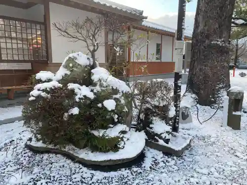 美奈宜神社(福岡県)