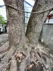 阿保神社(大阪府)