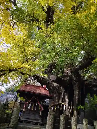 宮城野八幡神社(宮城県)