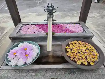 武蔵第六天神社(埼玉県)