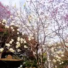 彌彦神社　(伊夜日子神社)(北海道)