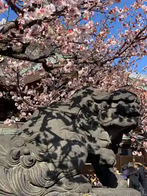 湯島天満宮の狛犬