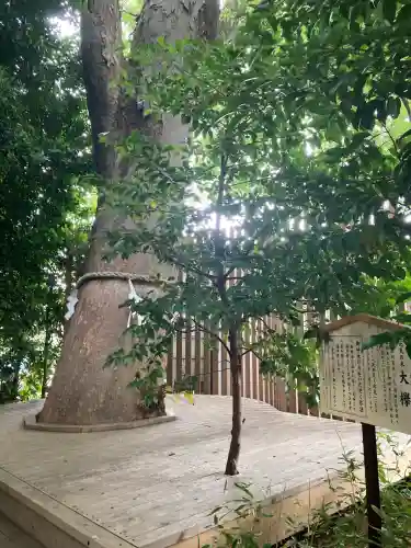 鎮守氷川神社(埼玉県)