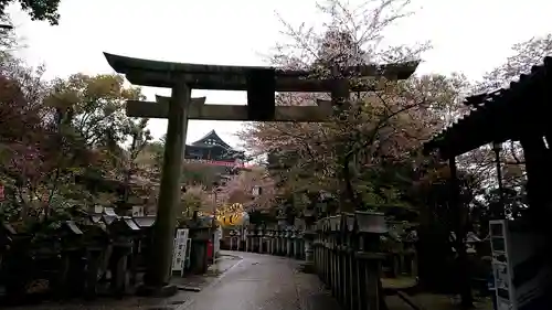 朝護孫子寺の鳥居